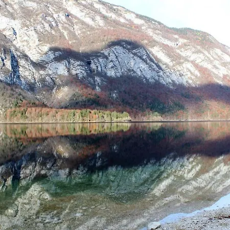 Dov Bohinj